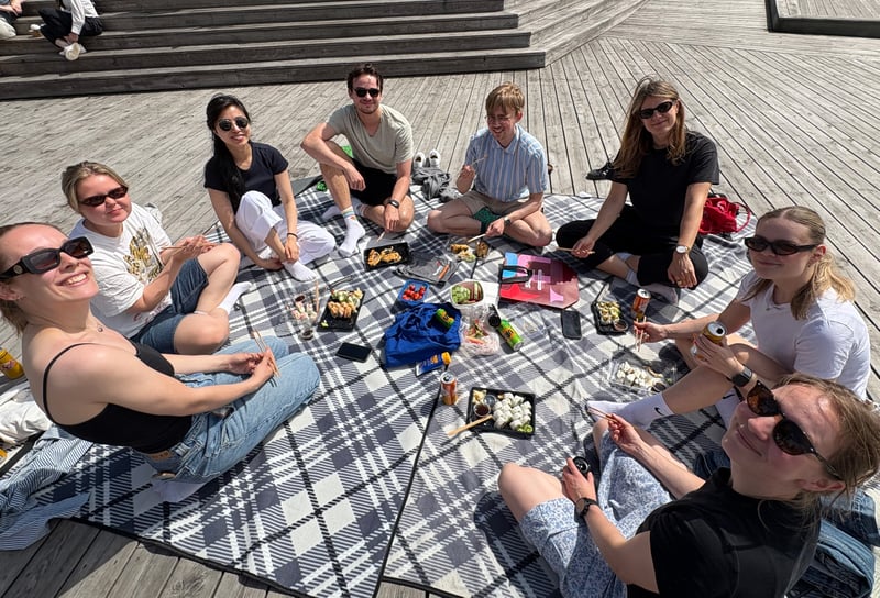 oslo-dips-piknik