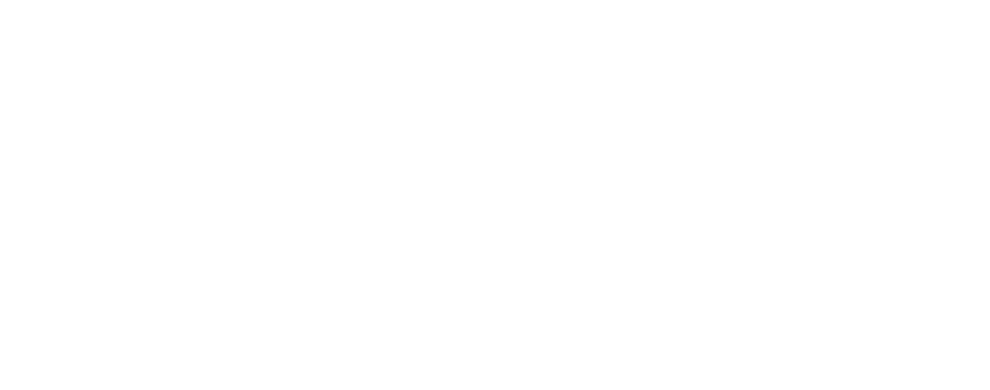 Dips logo payoff_white_original