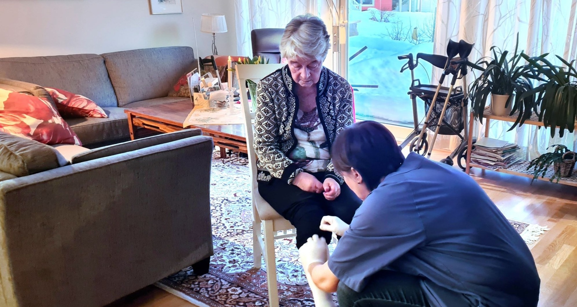 Pasient i hjemmetjenesten med behandler