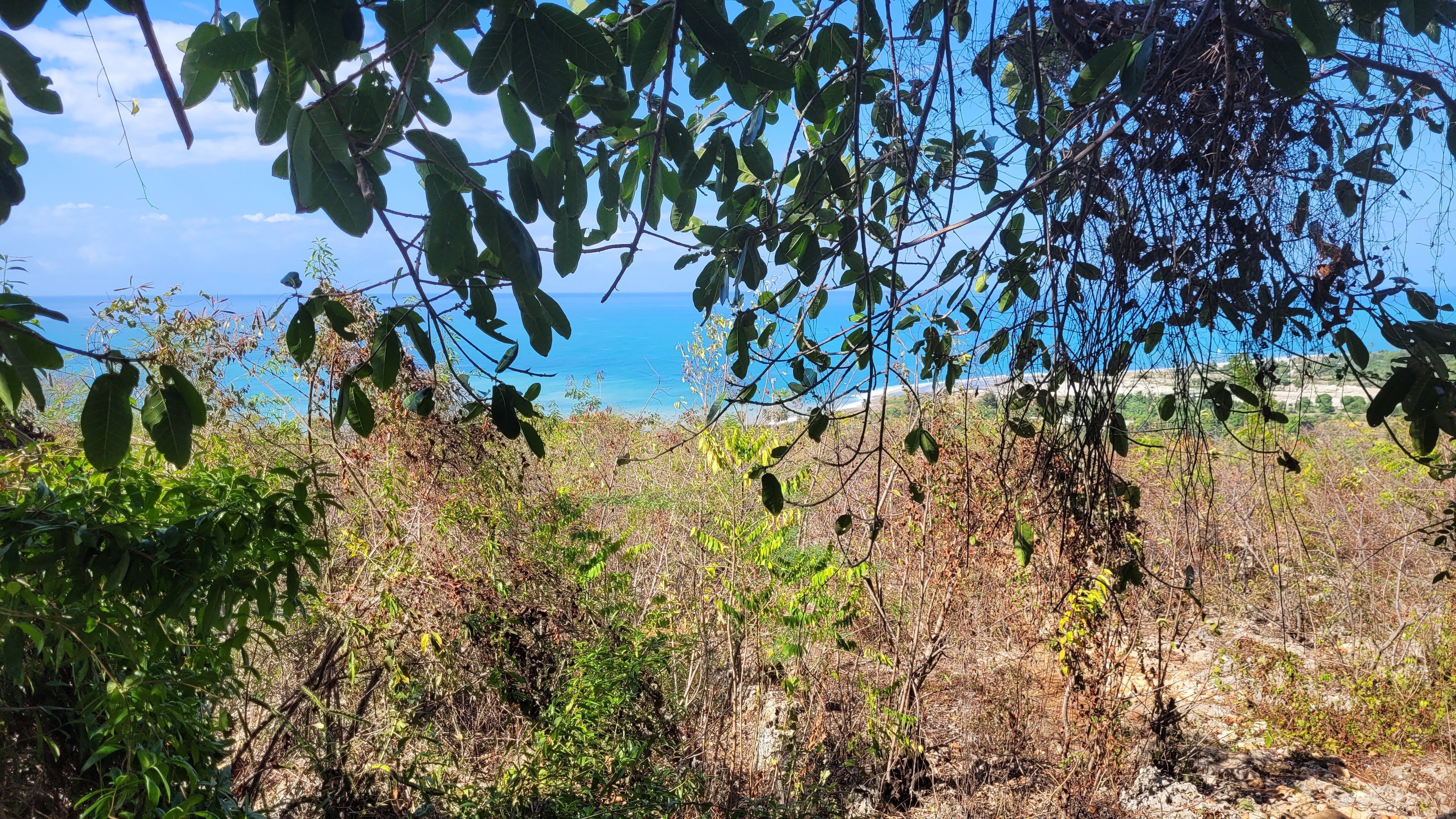 View from my favorite place, the entrance of the cage. Today the sea is a wonderful turquise