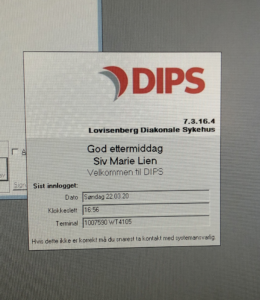 Skjermbilde-DIPS-innlogging-260x300