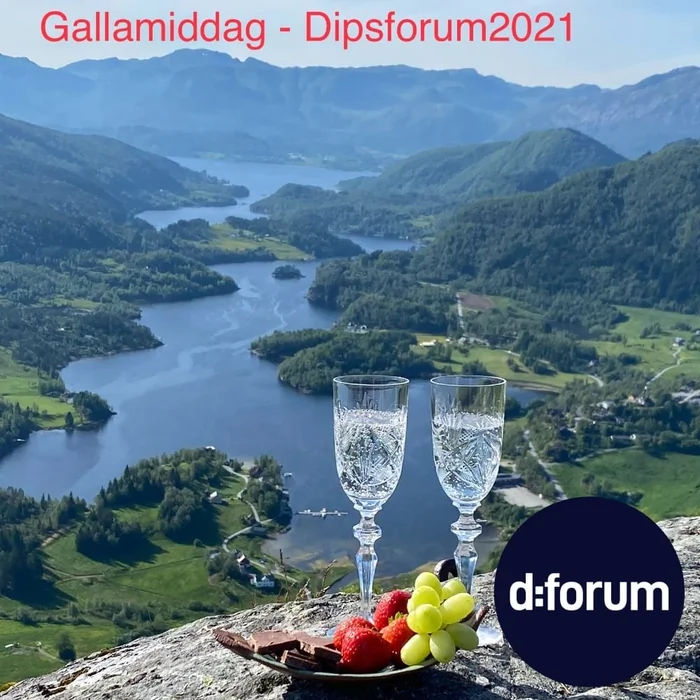 dforum2021blimedpavarvirtuellefotokonkurransephoto.jpg